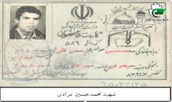 محمدحسین مرادی 2