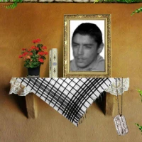 قاسم سبز علی