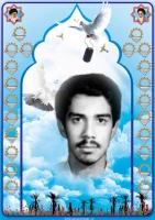 محسن حسنلو 2