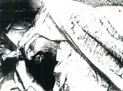 شهید غلامرضا ادبی مهذب 6