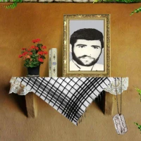 شهید فرهاد رضوی