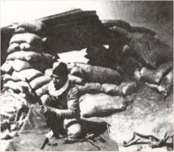 شهید فرهاد رضوی 2