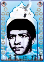 شهید محمد رضا فرهمند