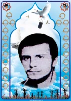 شهید محسن غریب