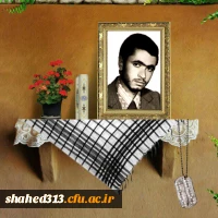 شهید حسن عباس زاده