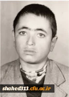 شهید حسن عباس زاده