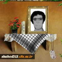 شهید امین اله ترکی هرچگانی