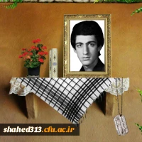 شهید رضا افتادگان