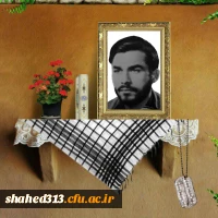 شهید رضا آبام