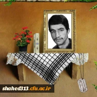 شهید محمد محمدی