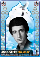 شهید رضا افتادگان 2