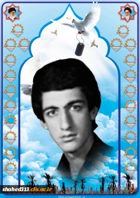 شهید رضا افتادگان