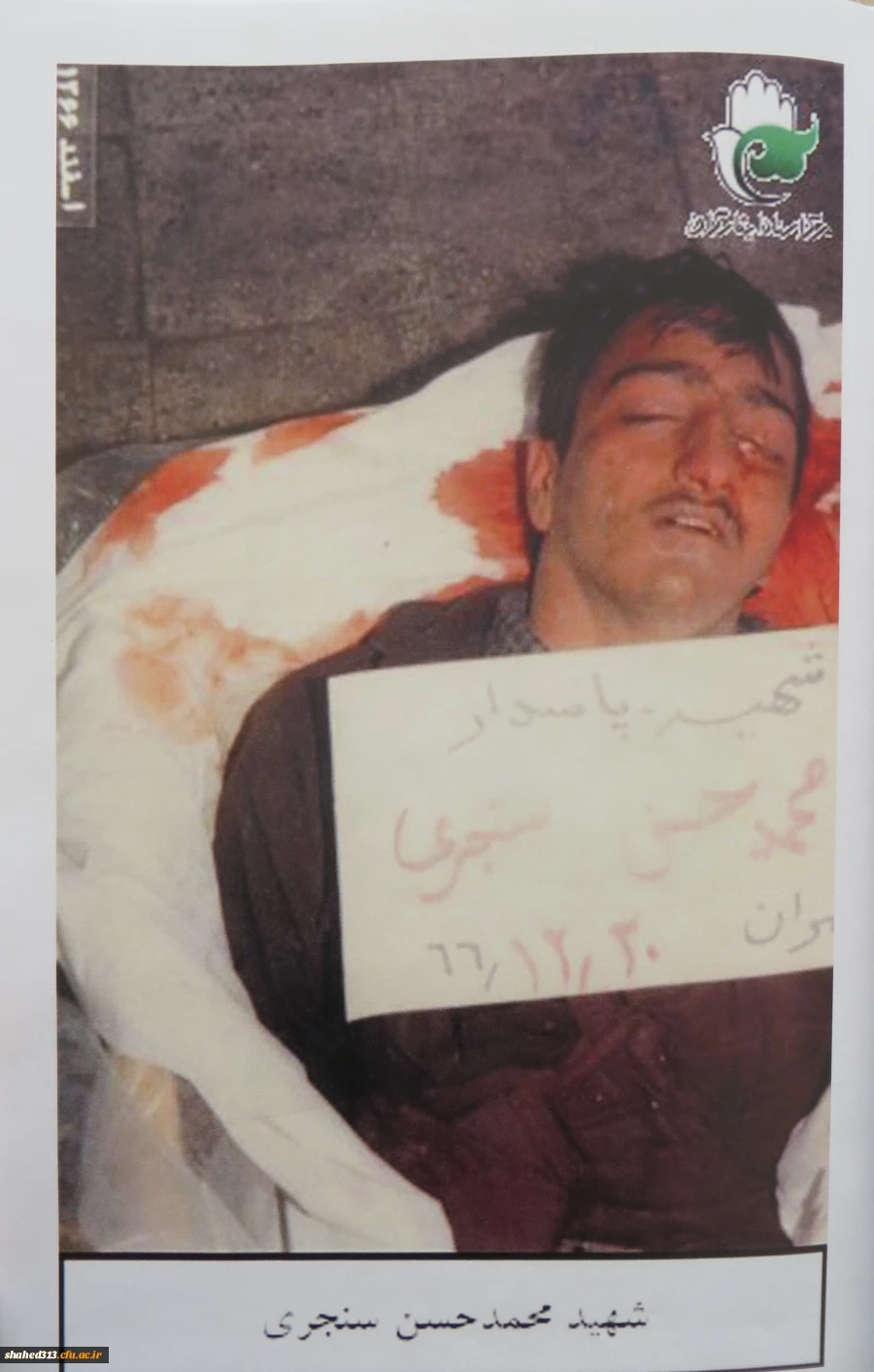 شهیدمحمدحسن سنجری 3