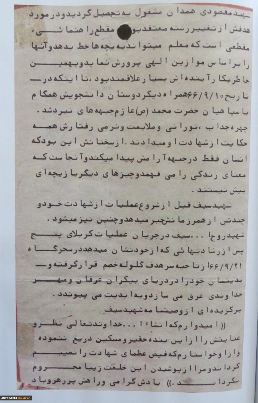 شهید روح اله سیف 12