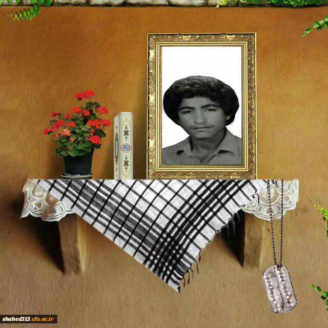 شهید حبیب کامل برون