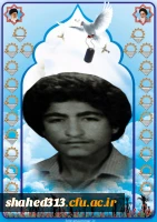 شهید حبیب کامل برون