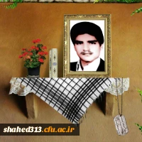 شهید عباس زارعی