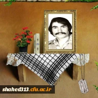 شهید علی آرین پور