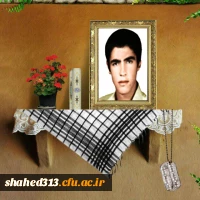 شهید محمد مهدی نقیبی