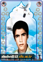 شهید محمد مهدی نقیبی