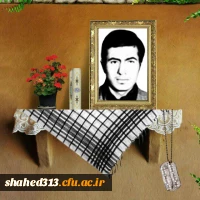 شهید محمد تقی حمیدی