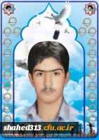 شهید خسرو عربیان3