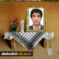 شهید سید محمد ذبیحی فر