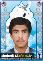 شهید سید محمد ذبیحی فر3