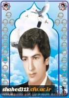 شهید محمدنیرآبادی3