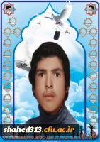 شهید محمد حسین مرادی حسن آباد3