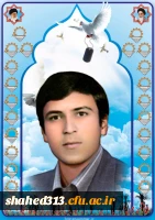 شهید محسن محمدزاده3