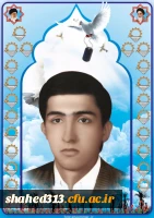 شهید محسن شیر محمدی زه آبادی3