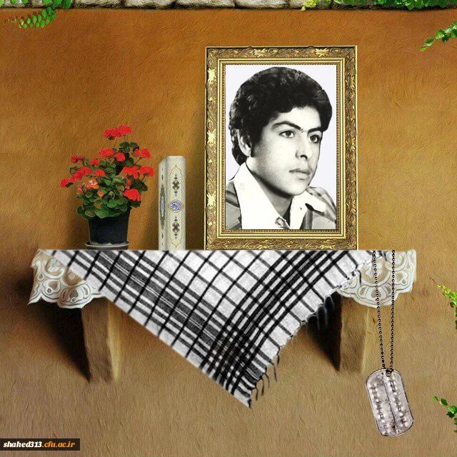 شهید رضا ملک پور