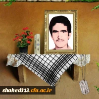 شهید محمد تویسرکانی