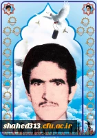 شهید محمد تویسرکانی3