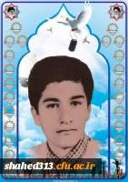 شهید محمدرضا اصیلی3