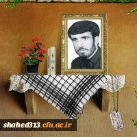 شهید امیر فریدونی