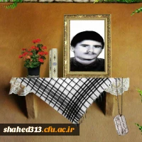 شهید رضا رازانی