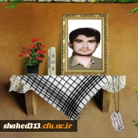 شهید محمدحسین سیف الدینی