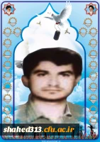 شهید محمدحسین سیف الدینی