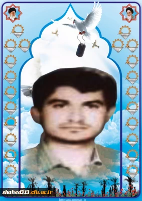 شهید محمدحسین سیف الدینی