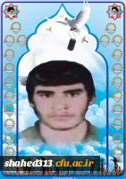 شهید محمد رضا جعفری اصل