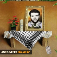 شهید عباس امینی زاده