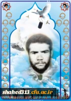 شهید عباس امینی زاده