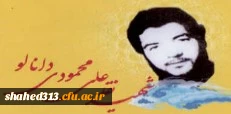 شهید نقدعلی محمودآبادی دانالو