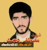 شهید مصطفی درویش  2